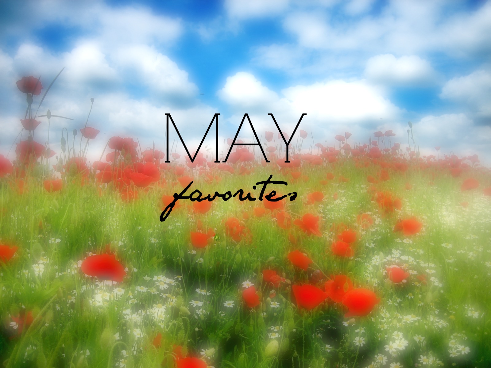 В майе или мае. Обои с песнями май май. Май близко.
